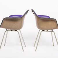 Mid Century Purple DAX Lounge Chairs by Eames for Herman Miller, 1960s