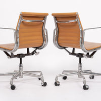 Mid Century Light Brown Office Chairs by Eames for Herman Miller 2006
