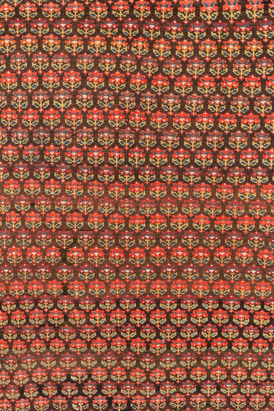 Antique West Persian Kurd Pink & Red Wool Floor Rug